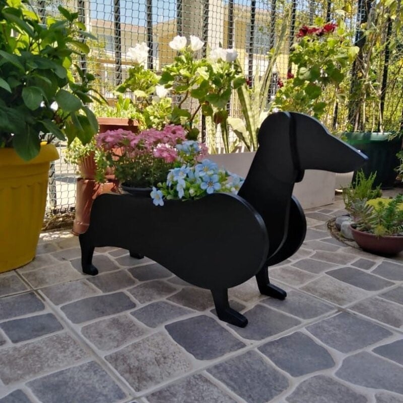 PawPlanter™ Playful Nature Accent