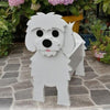 PawPlanter™ Playful Nature Accent