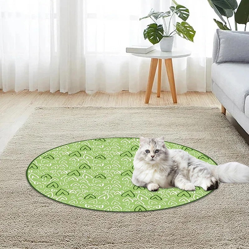 CatQuest™ Interactive Fun Zone