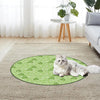 CatQuest™ Interactive Fun Zone