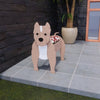 PawPlanter™ Playful Nature Accent