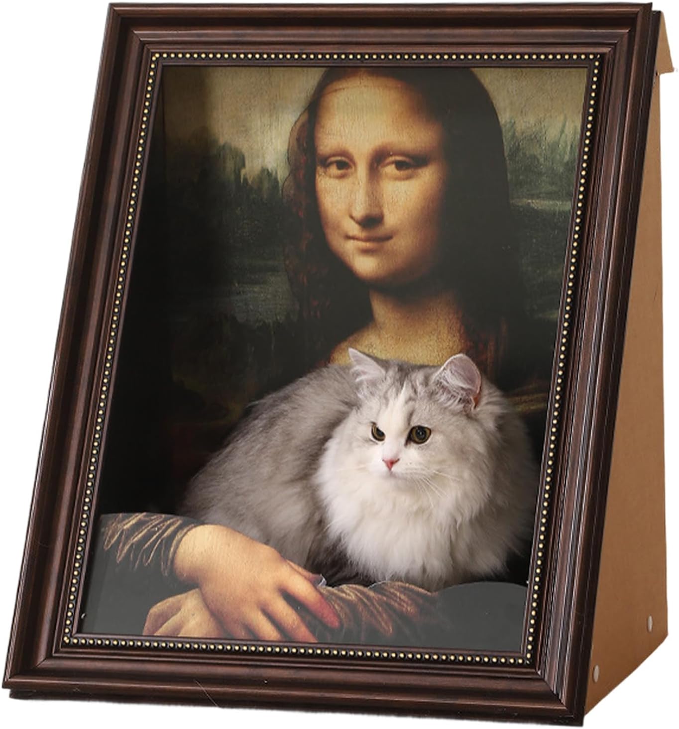 CatCanvas™ Comfort Meets Playtime