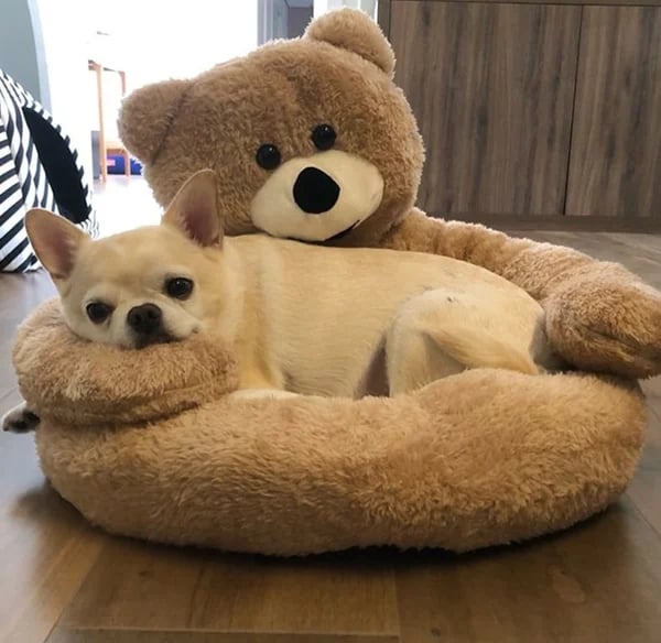 CozyCub™ Teddy Bear Pets Bed