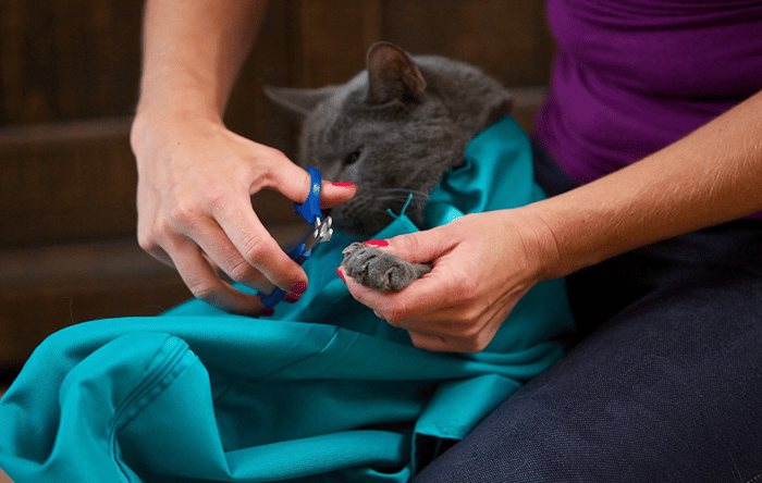SnugglePouch™ Calming Cat Carrier