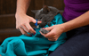 SnugglePouch™ Calming Cat Carrier