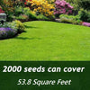 GreenGem™ Year-Round Greenery