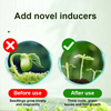 1+1 Free | VitalBloom™ Strengthen Plant Growth