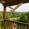 WingGlide™ Flight-Inspired Wonder