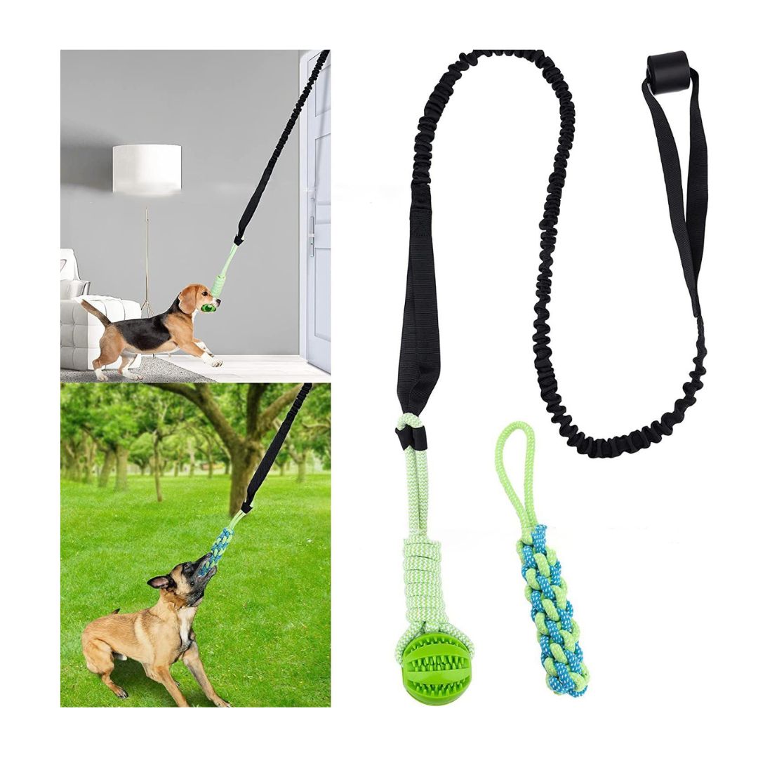 BungeeTug™ Bounce-Back Tug Toy
