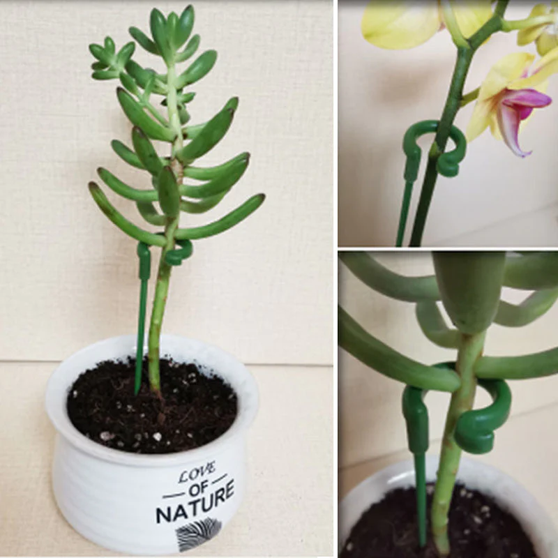 EasyPlant™ Graceful Stem Support