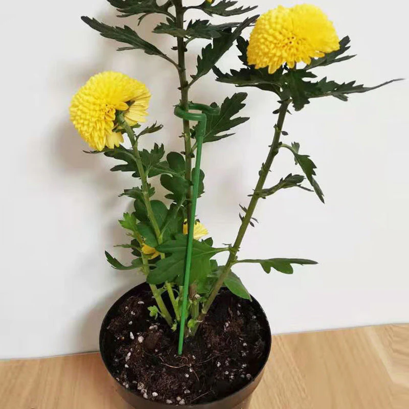 EasyPlant™ Graceful Stem Support