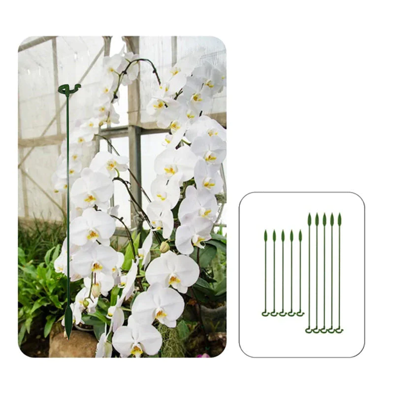 EasyPlant™ Graceful Stem Support