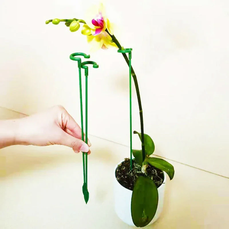EasyPlant™ Graceful Stem Support
