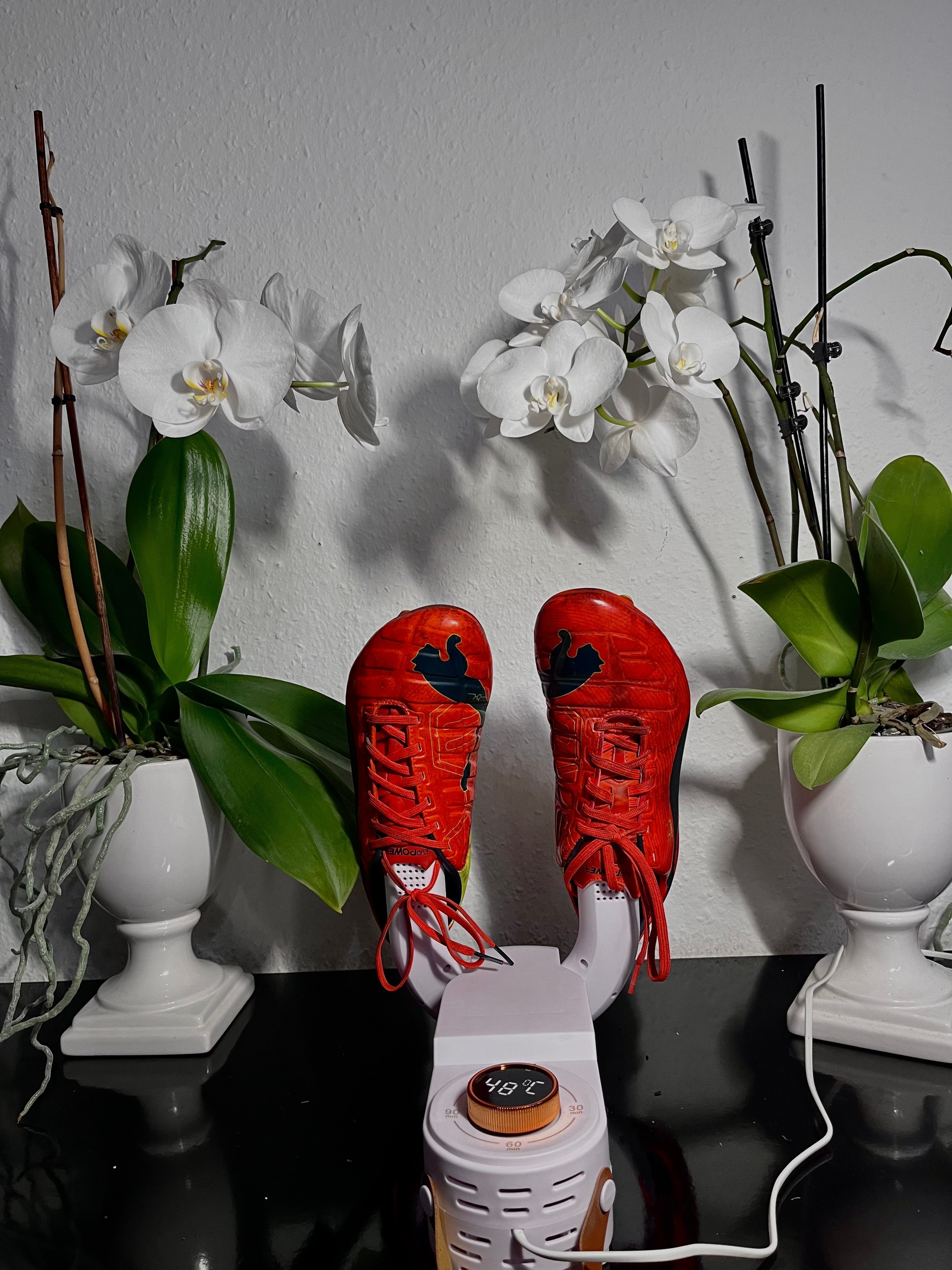 SoleDryer™ Moisture-Free Walks