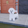 PawPlanter™ Playful Nature Accent
