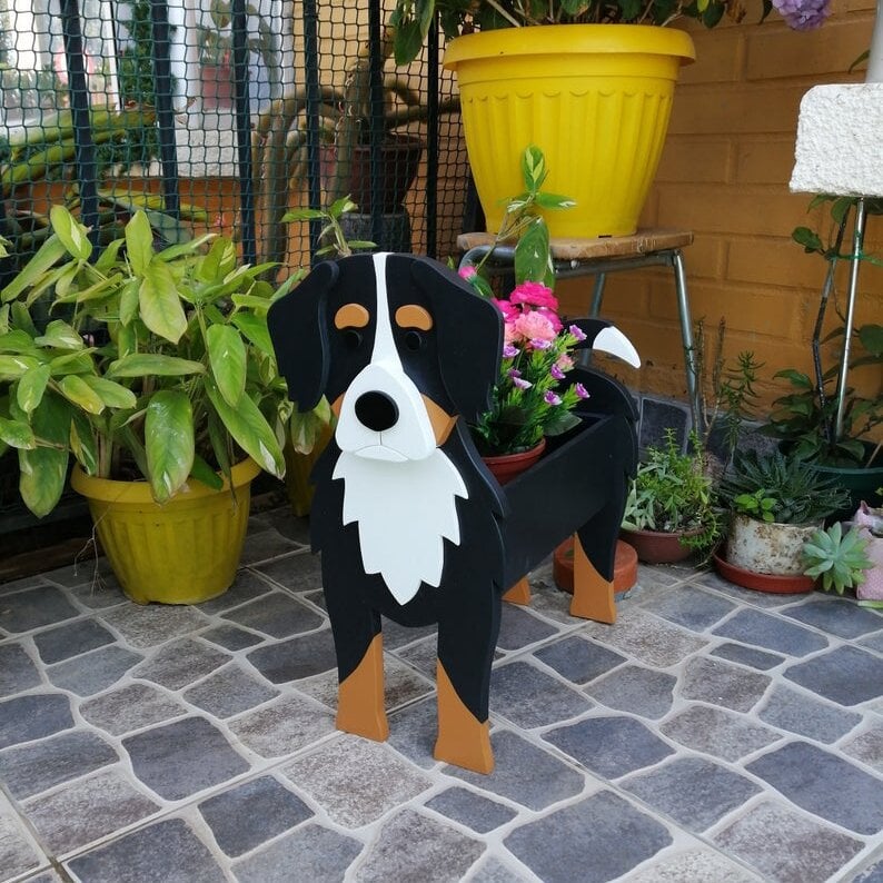 PawPlanter™ Playful Nature Accent