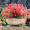 EverBloom™ Nature-Inspired Wonder
