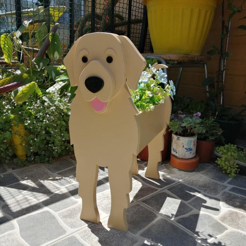 PawPlanter™ Playful Nature Accent