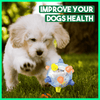 JumpBall™ Paws-on Playtime