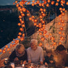 LeafLuxe™ Transform Home Atmosphere