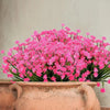 EverBloom™ Nature-Inspired Wonder