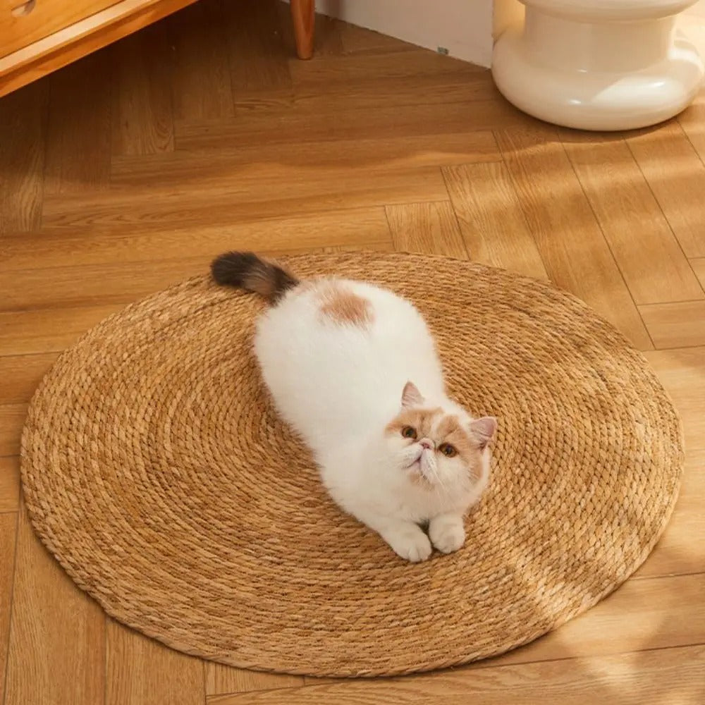 ClawPad™ Durable Cat Entertainment