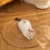 ClawPad™ Durable Cat Entertainment