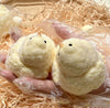 CozyChick™ Comfort in Feathers
