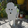 PawPlanter™ Playful Nature Accent