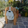 PawPlanter™ Playful Nature Accent