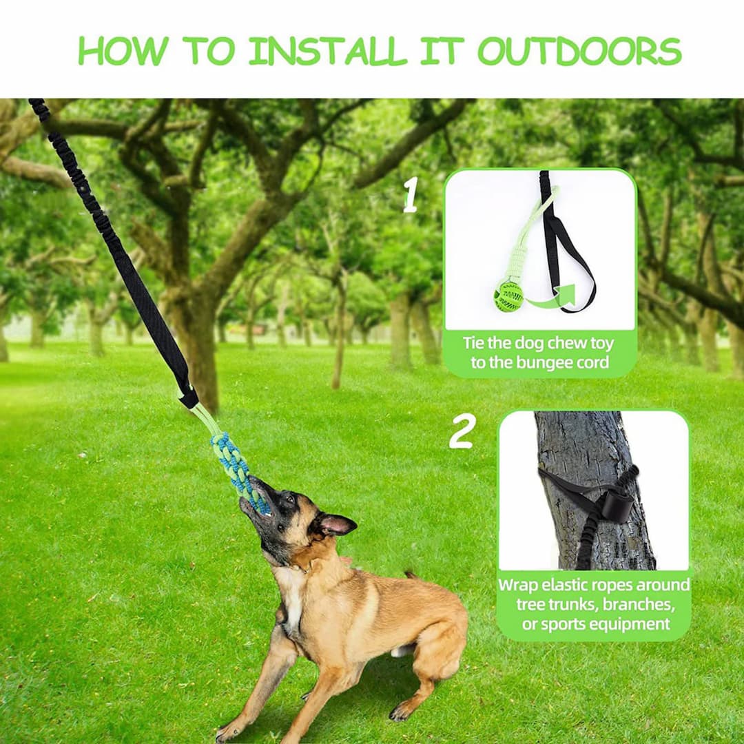 BungeeTug™ Bounce-Back Tug Toy