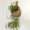 VeggieBasket™ Hanging Fruit Baskets
