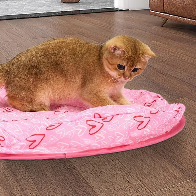 CatQuest™ Interactive Fun Zone