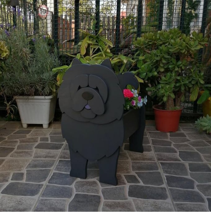 PawPlanter™ Playful Nature Accent
