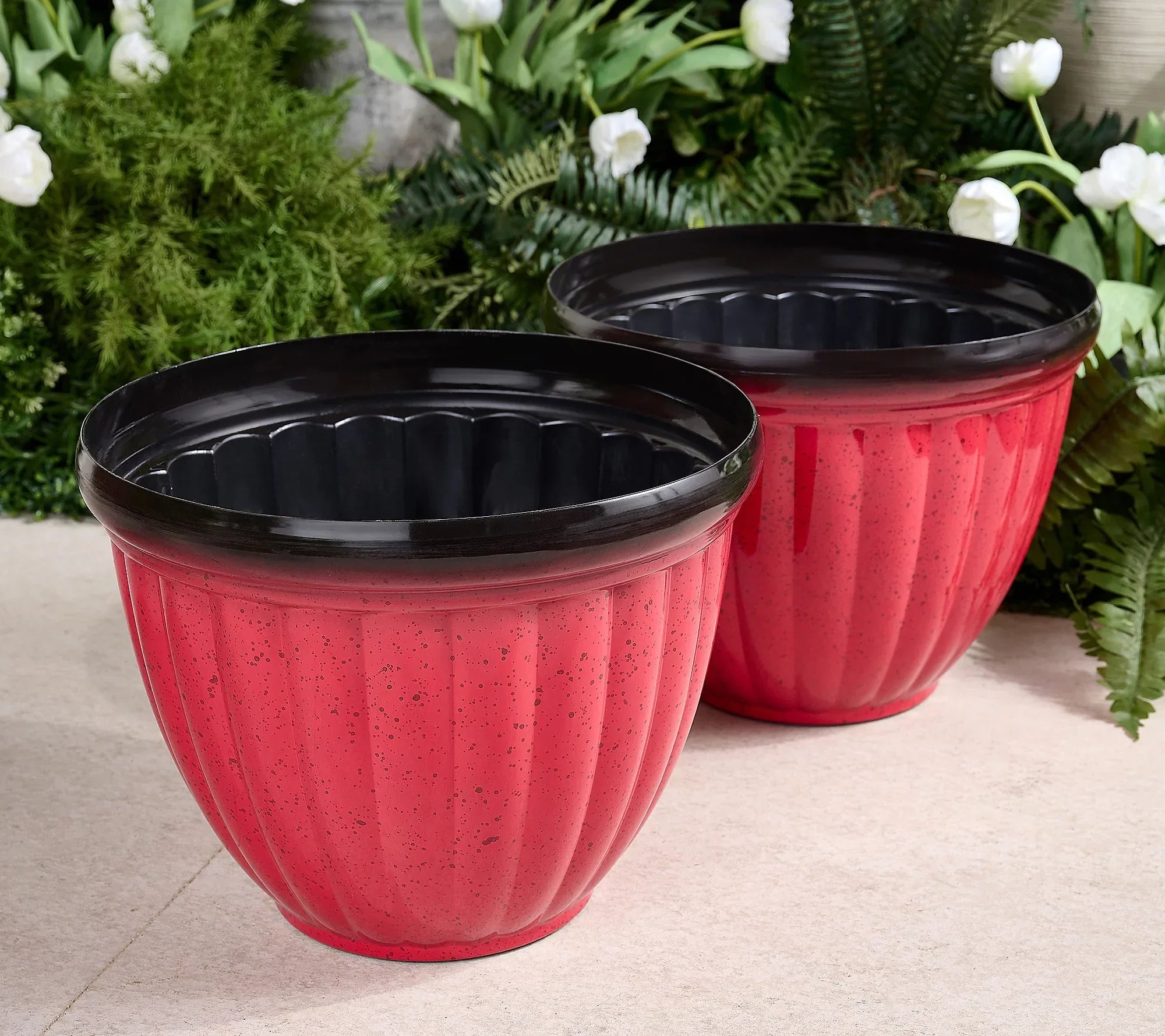 GreenNest™ Carefree Plant Living