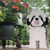 PawPlanter™ Playful Nature Accent