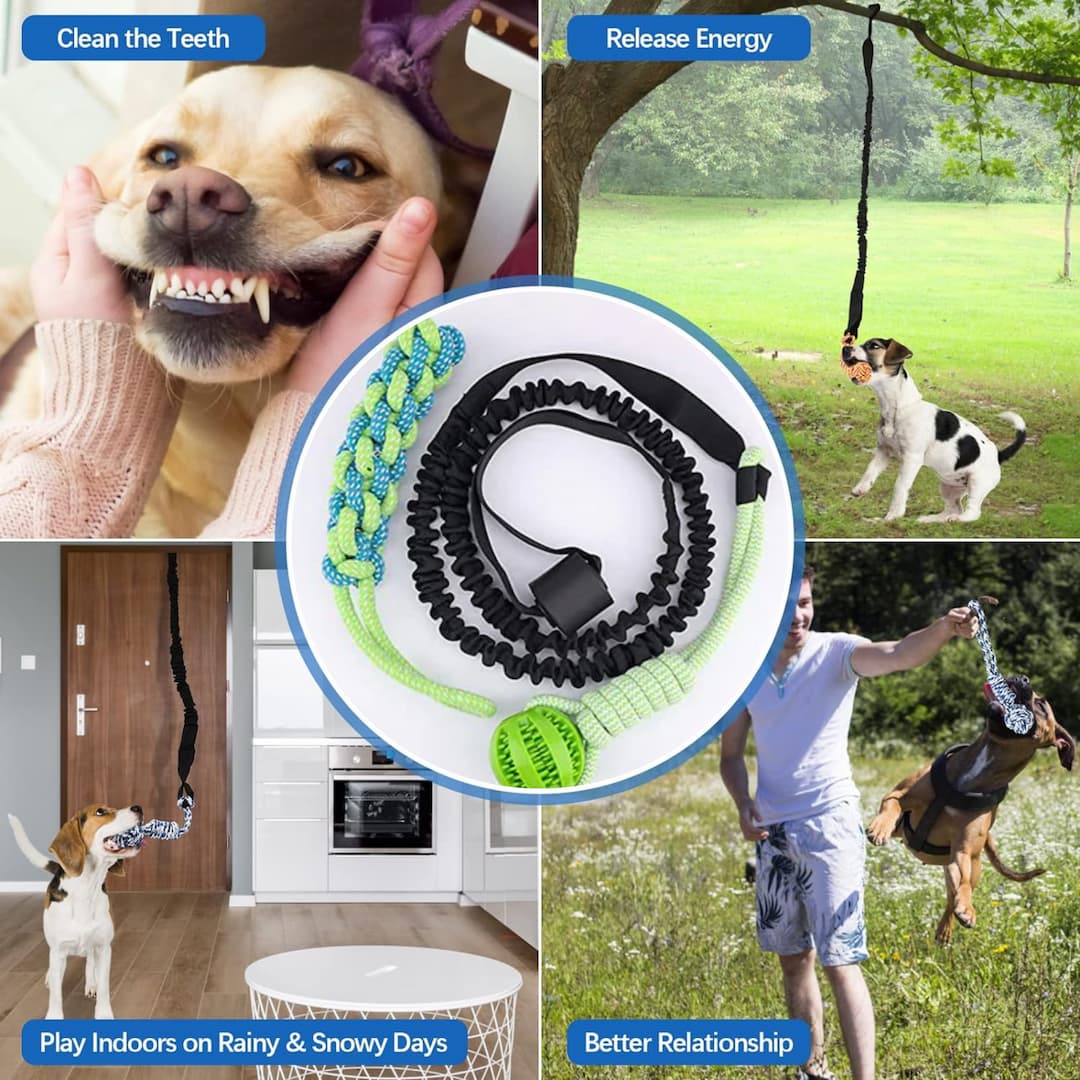 BungeeTug™ Bounce-Back Tug Toy