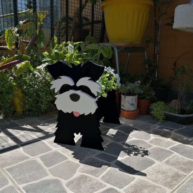 PawPlanter™ Playful Nature Accent