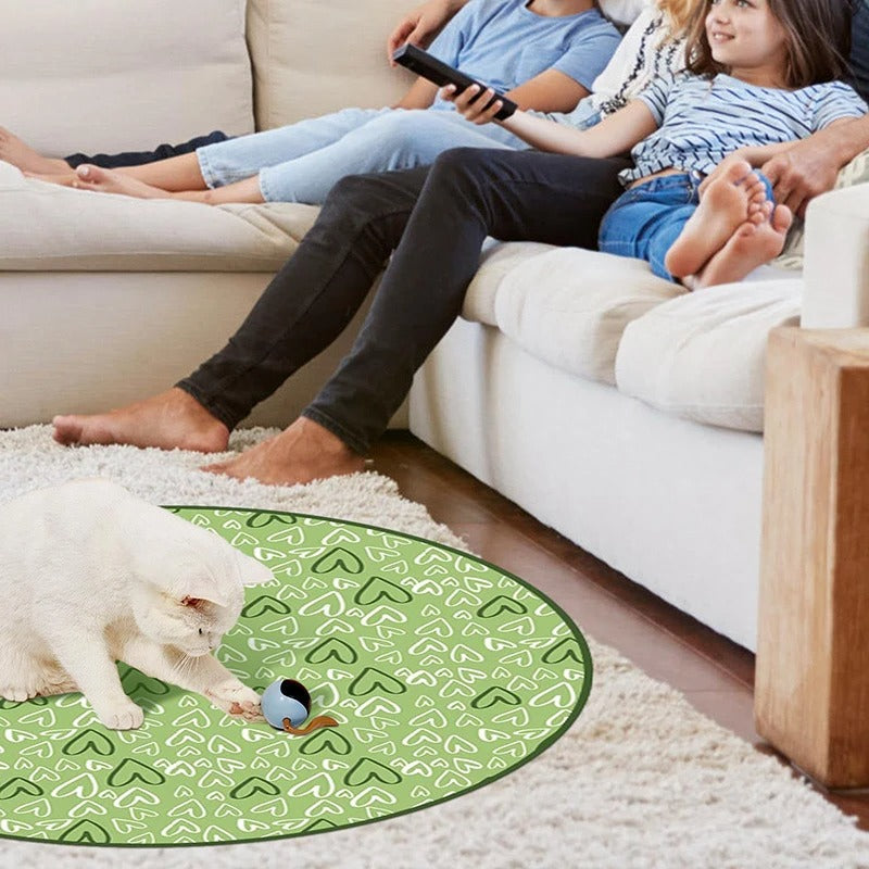 CatQuest™ Interactive Fun Zone