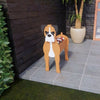 PawPlanter™ Playful Nature Accent