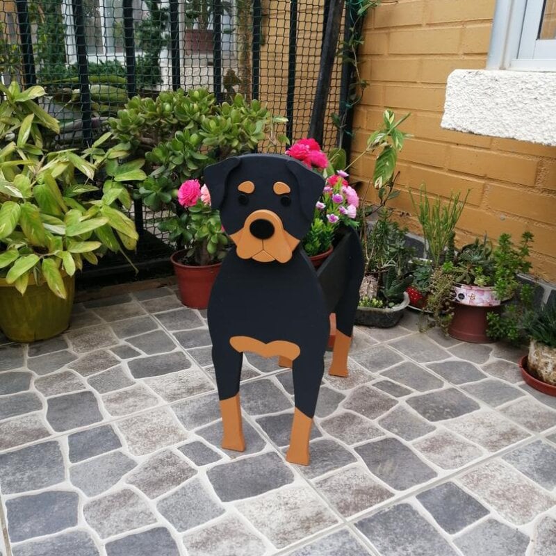 PawPlanter™ Playful Nature Accent