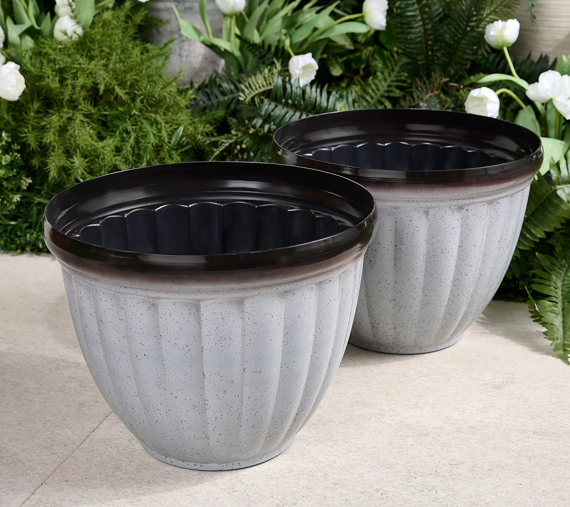 GreenNest™ Carefree Plant Living