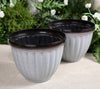 GreenNest™ Carefree Plant Living