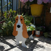 PawPlanter™ Playful Nature Accent