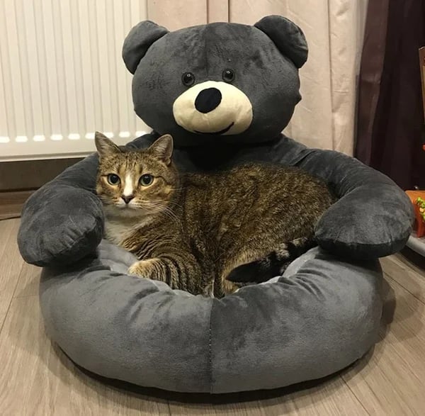 CozyCub™ Teddy Bear Pets Bed