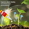 1+1 Free | VitalBloom™ Strengthen Plant Growth