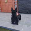 PawPlanter™ Playful Nature Accent