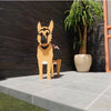PawPlanter™ Playful Nature Accent