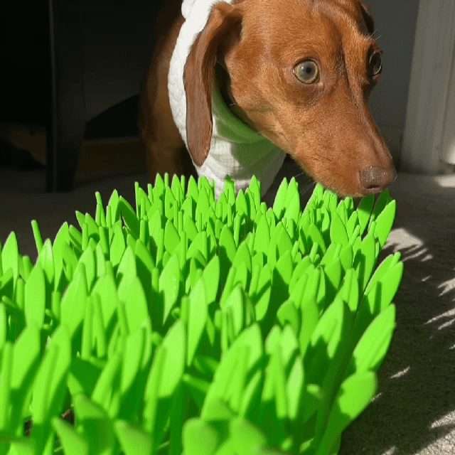 NeatNibble™ Worry-Free Food Mat