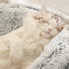CatHaven™ Luxury Feline Lounge